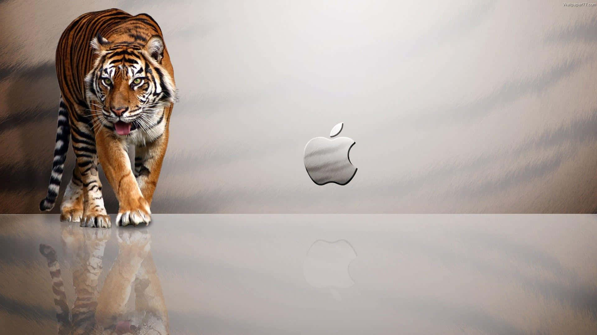 1920x1080 шпалери Apple з тигровими смугами Шпалери