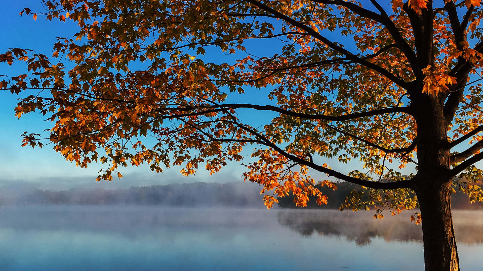 Осенний фон 3840 x 2160 Шпалери