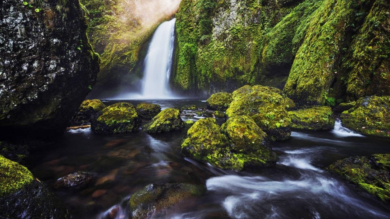 4K Природа Мохнатые Камни Шпалери