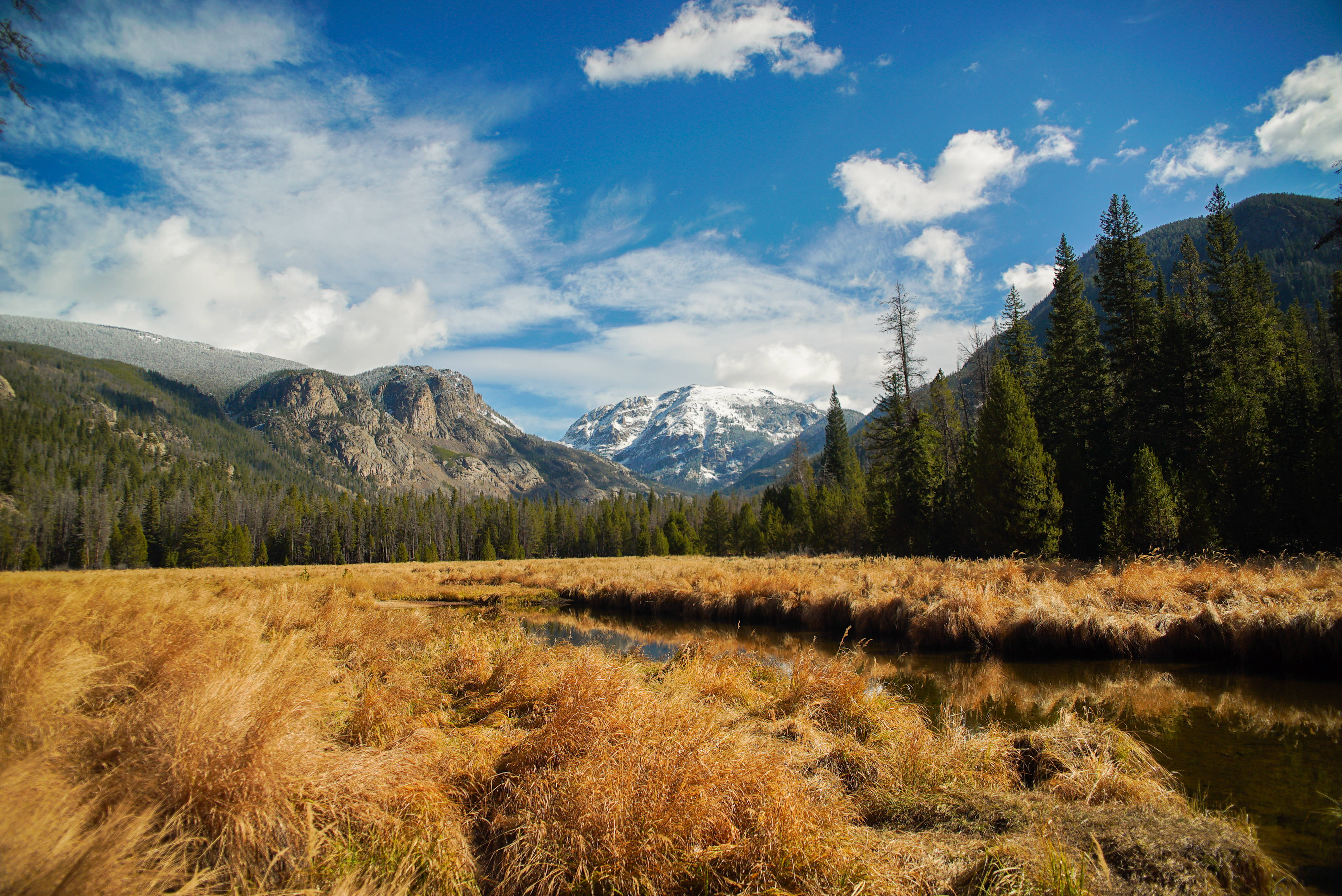 4K Natur Пшеничне поле Шпалери