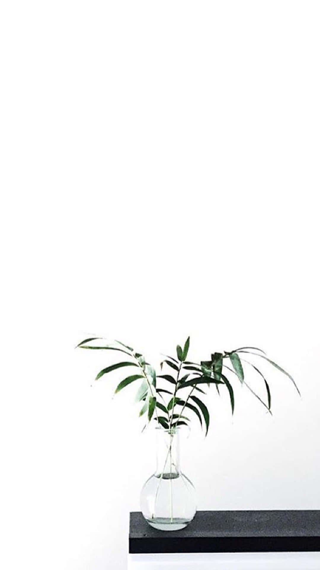 Дайте світу знати, що Aesthetic White допоможе вам виглядати бездоганно. Шпалери