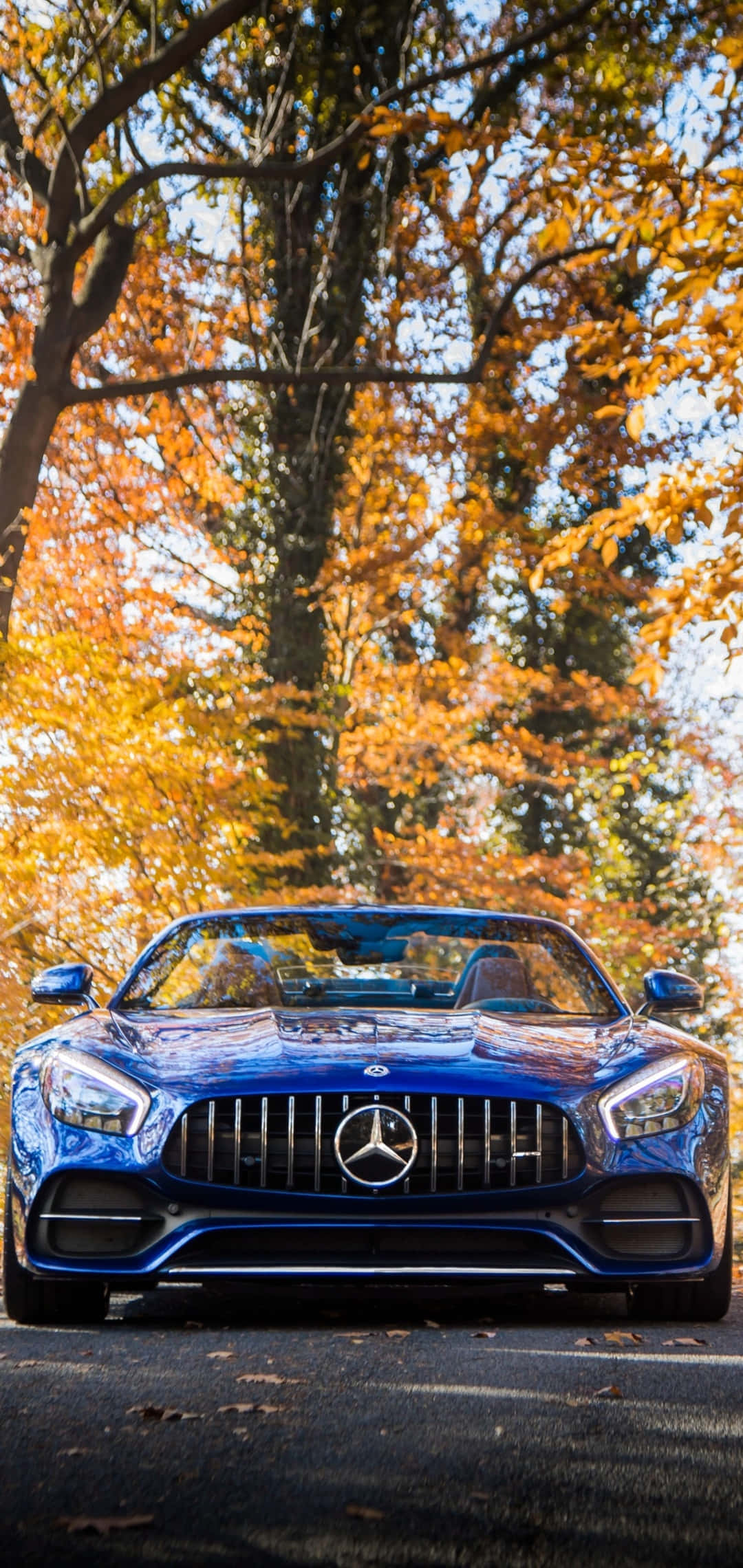 Android Amg Gt-r Желтые листья деревьев Фон Шпалери