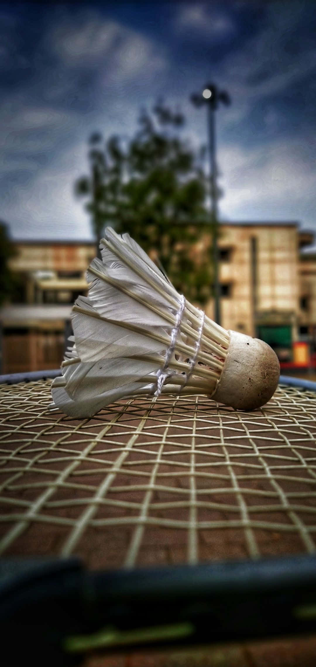 «Погрузись в адреналиновый мир Android Badminton» Шпалери