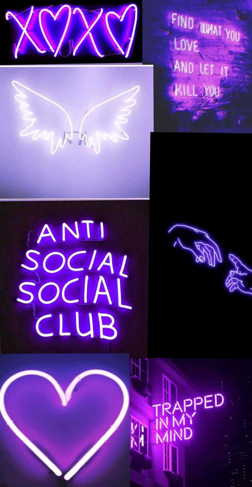 коллекция неоновых вывесок с надписями вроде anti social club Шпалери
