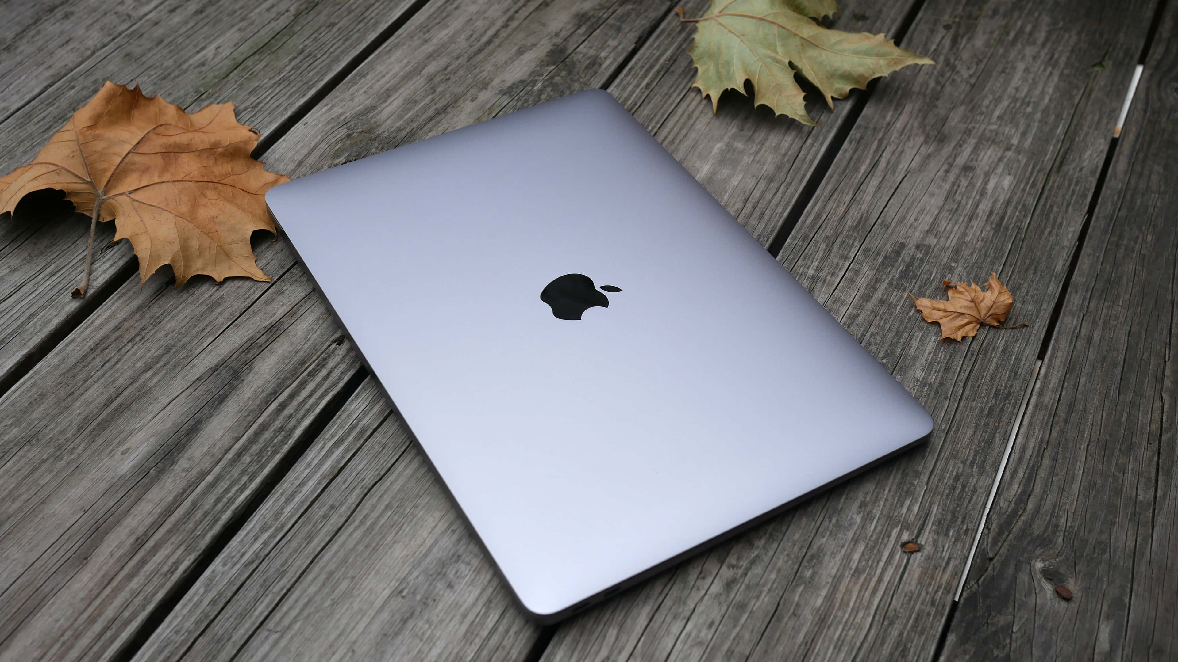 Білий ноутбук Apple MacBook Шпалери