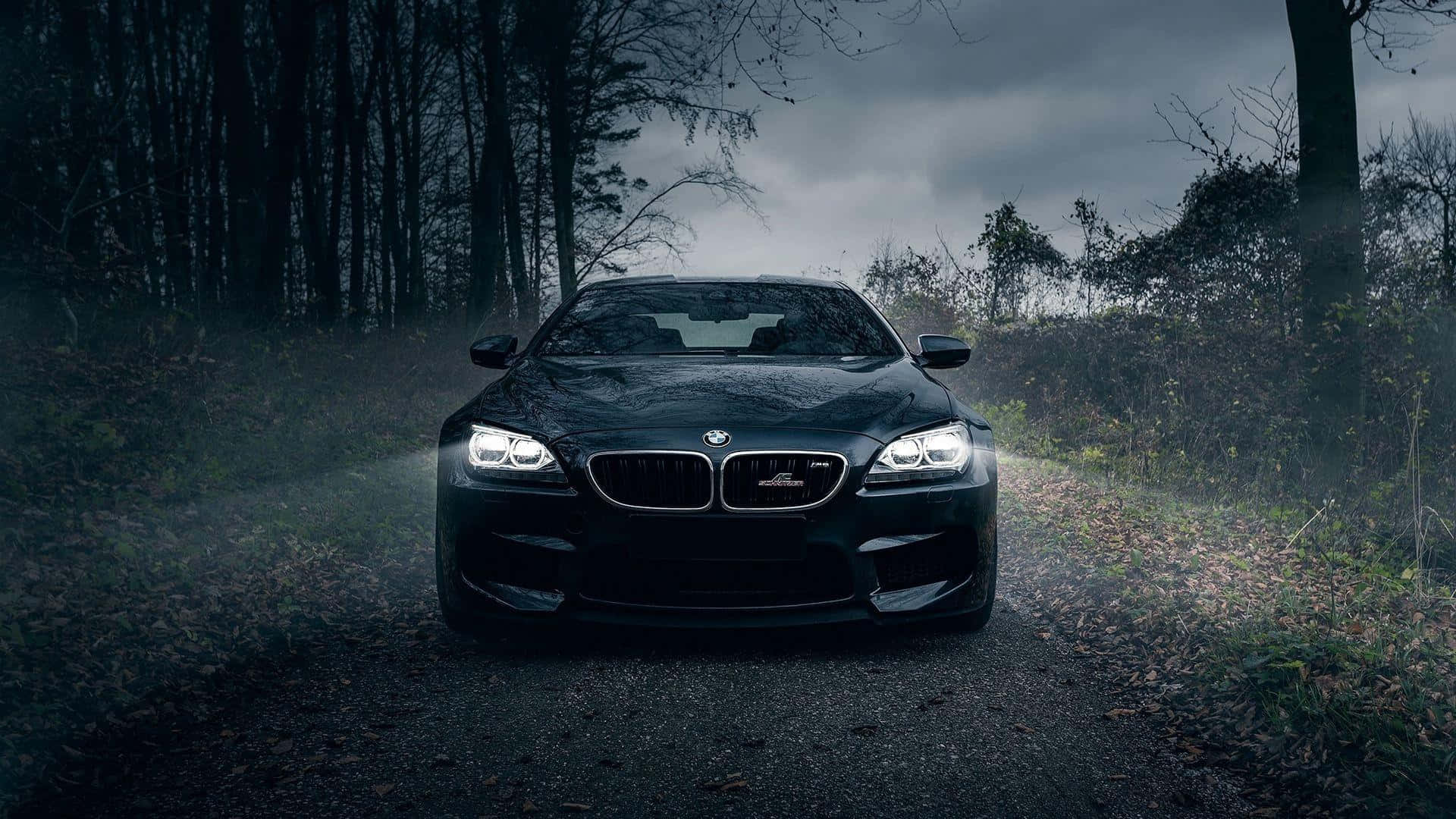 BMW 1920x1080 нічна поїздка лісом Шпалери