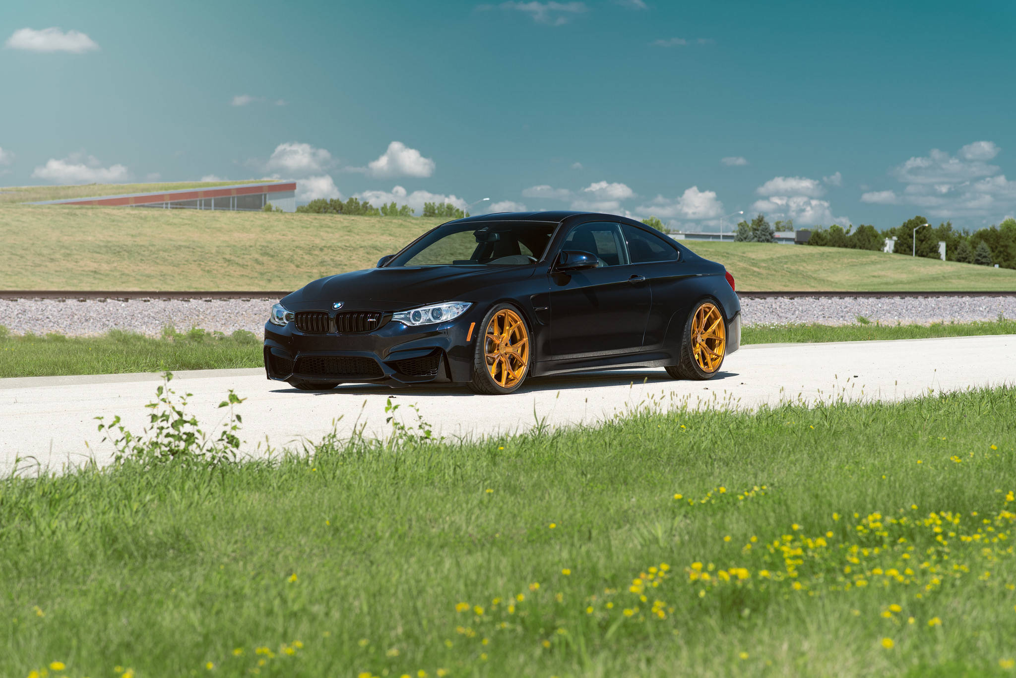 Стрункий BMW M4 F82 Шпалери