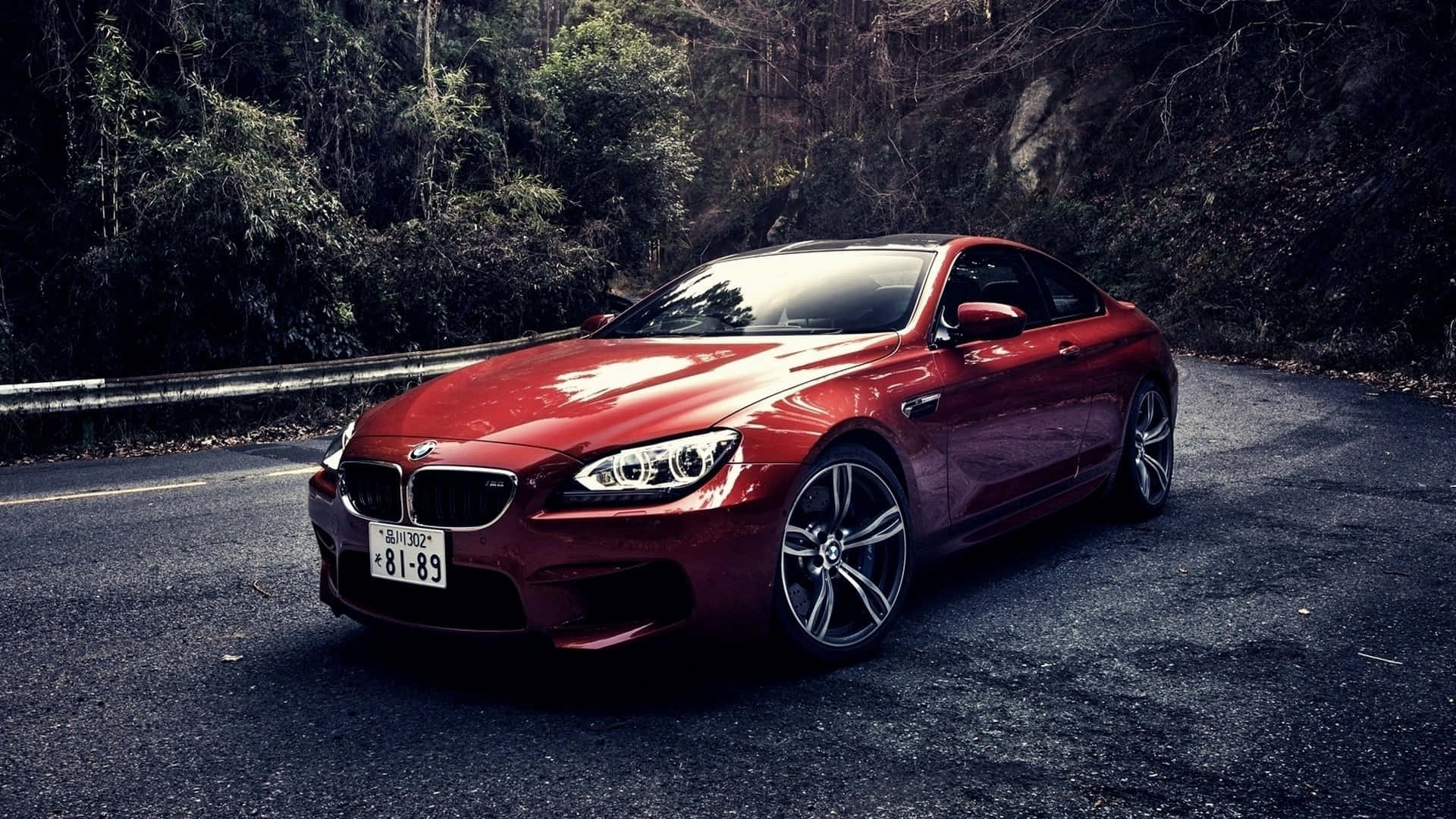 BMW на дорозі між лісом Шпалери