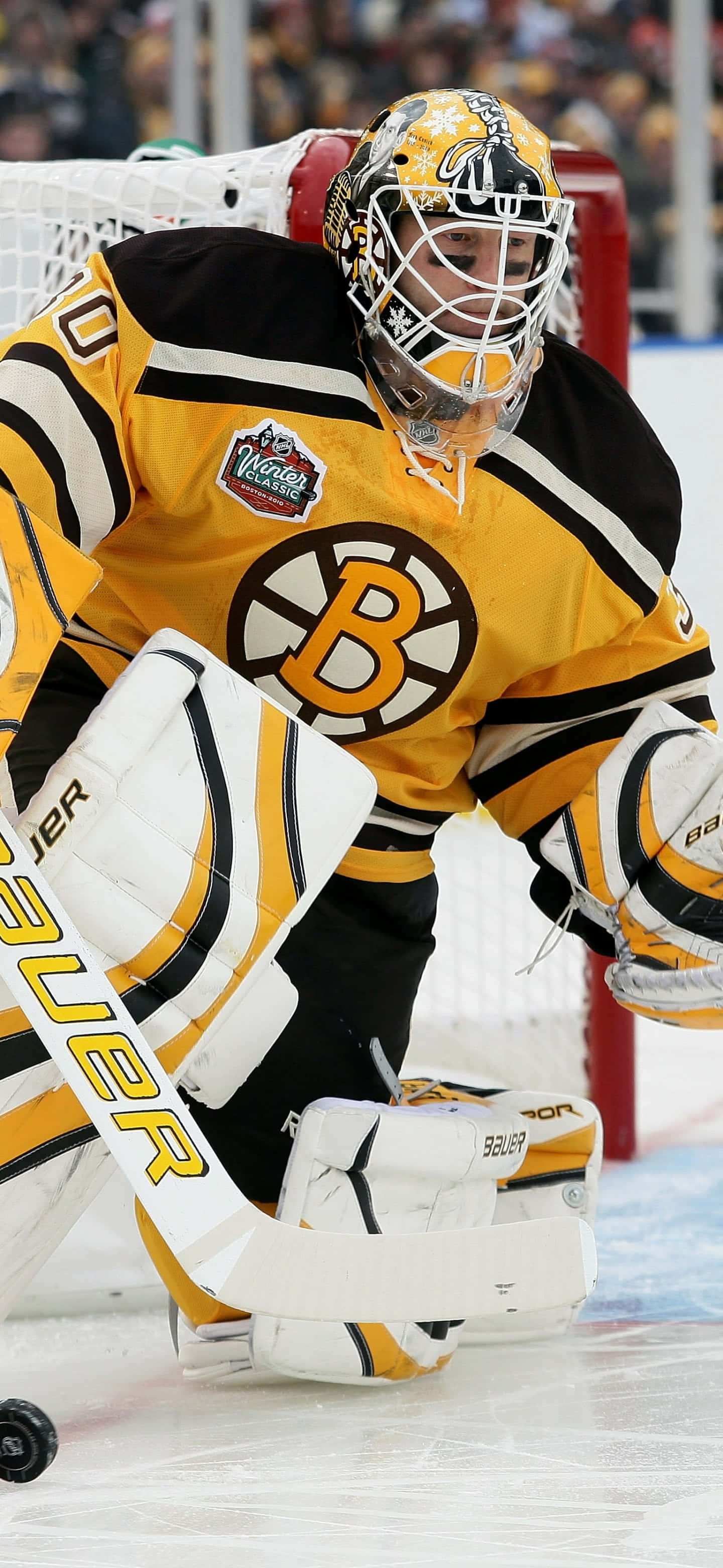 Болейте за Boston Bruins из дома Шпалери