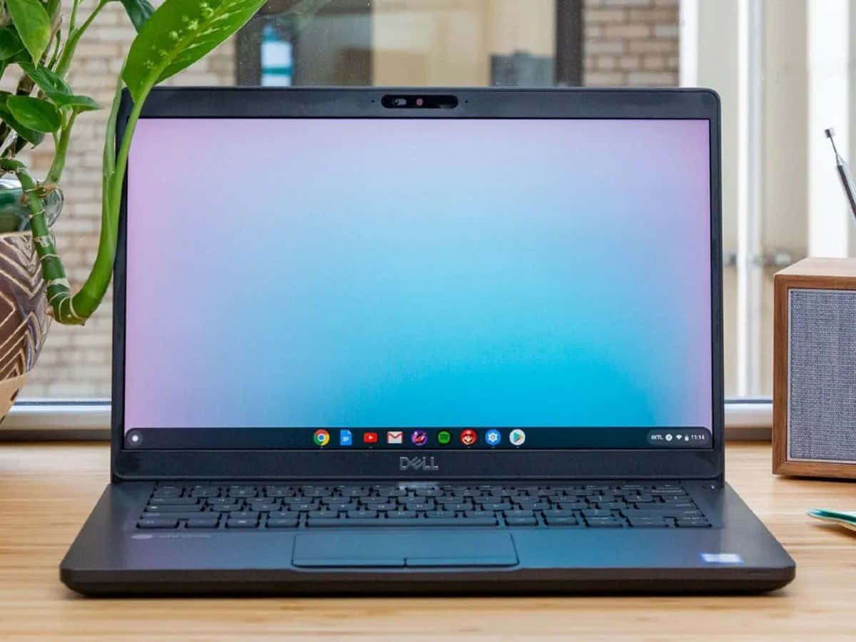 Представляем Chromebook: Доступный і стильный ноутбук Шпалери
