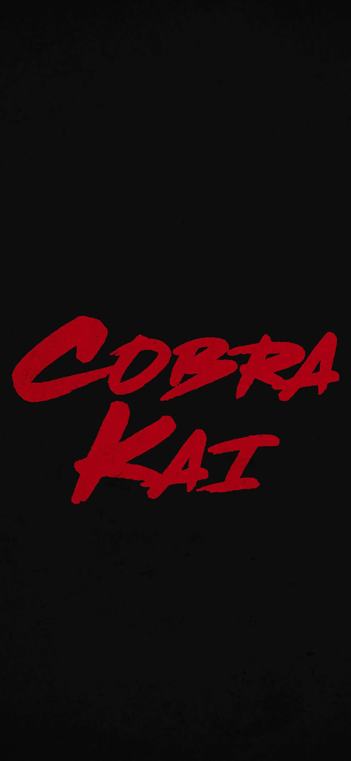 Фон Cobra Kai для iPhone XR Шпалери