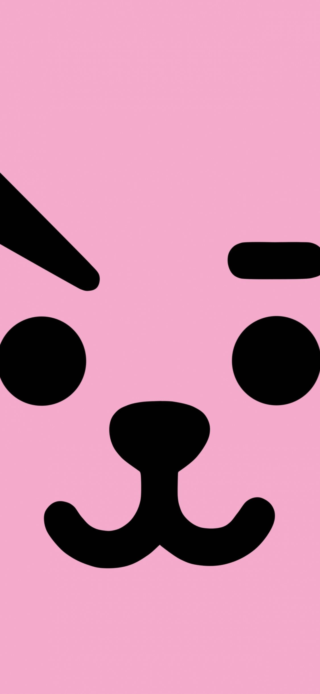 Cooky Bt21 Анфас Шпалери