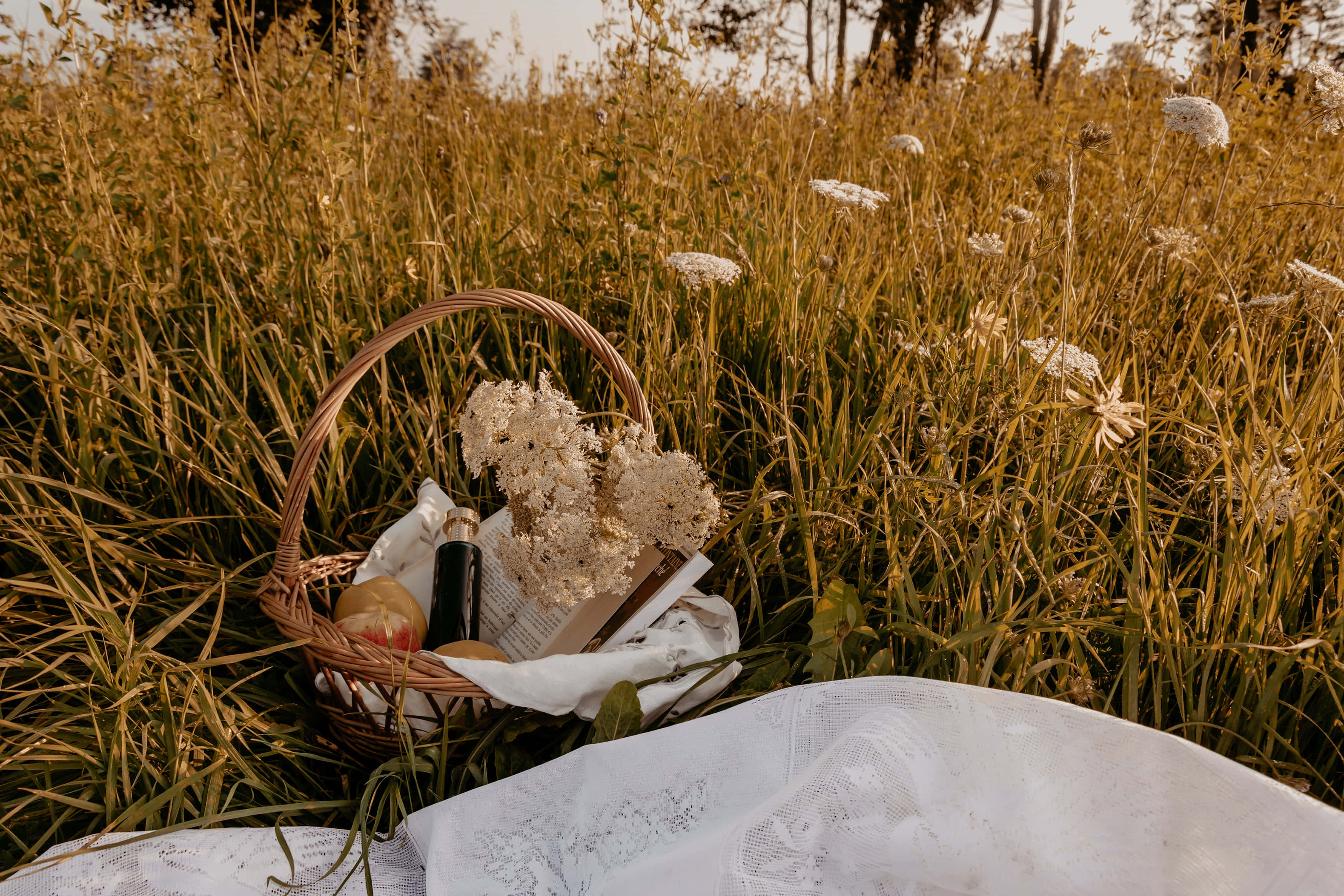 Чарівний фон у стилі Cottagecore Шпалери