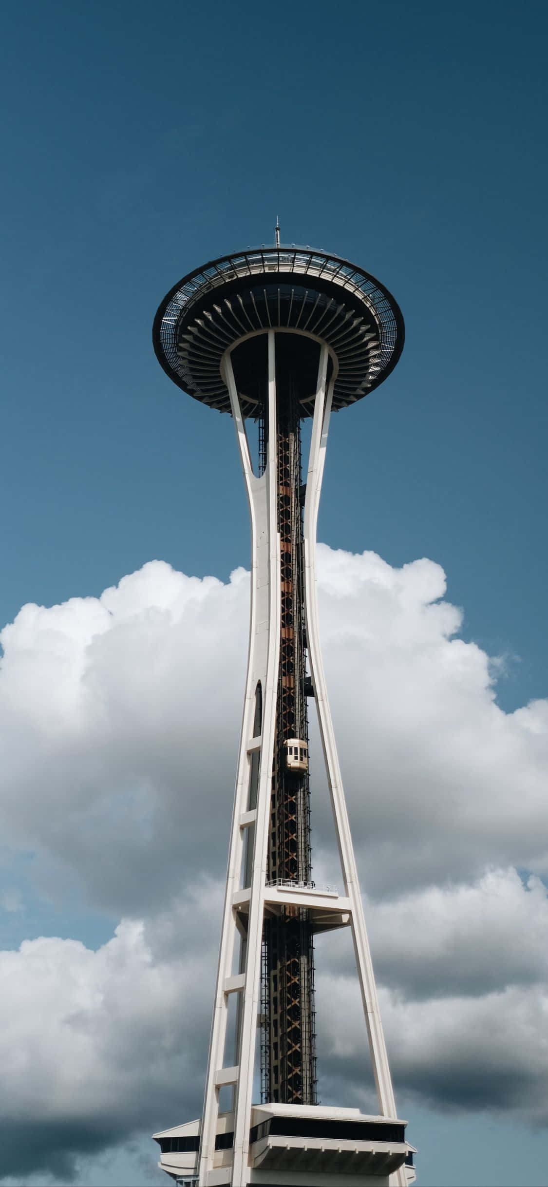 Enjoying the View Of Seattle From Behind An iPhone X Шпалери