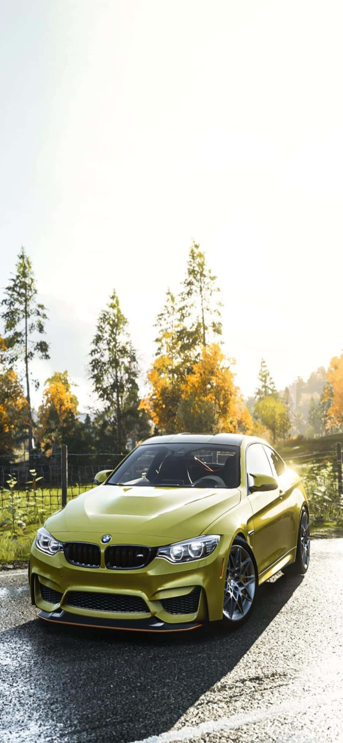 Форсаж: садись за руль iPhone Xs и мчись к победе в Forza Horizon 4 Шпалери