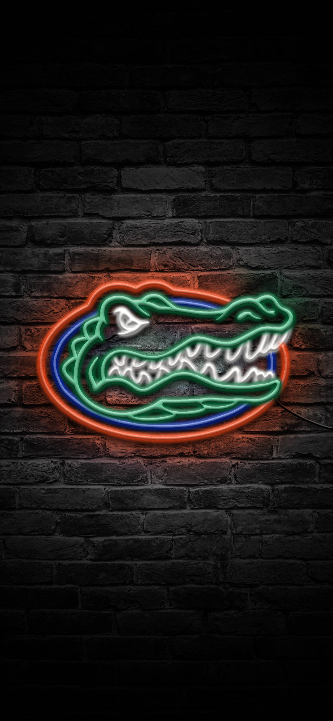 Логотип Florida Gators в неоновых огнях Шпалери