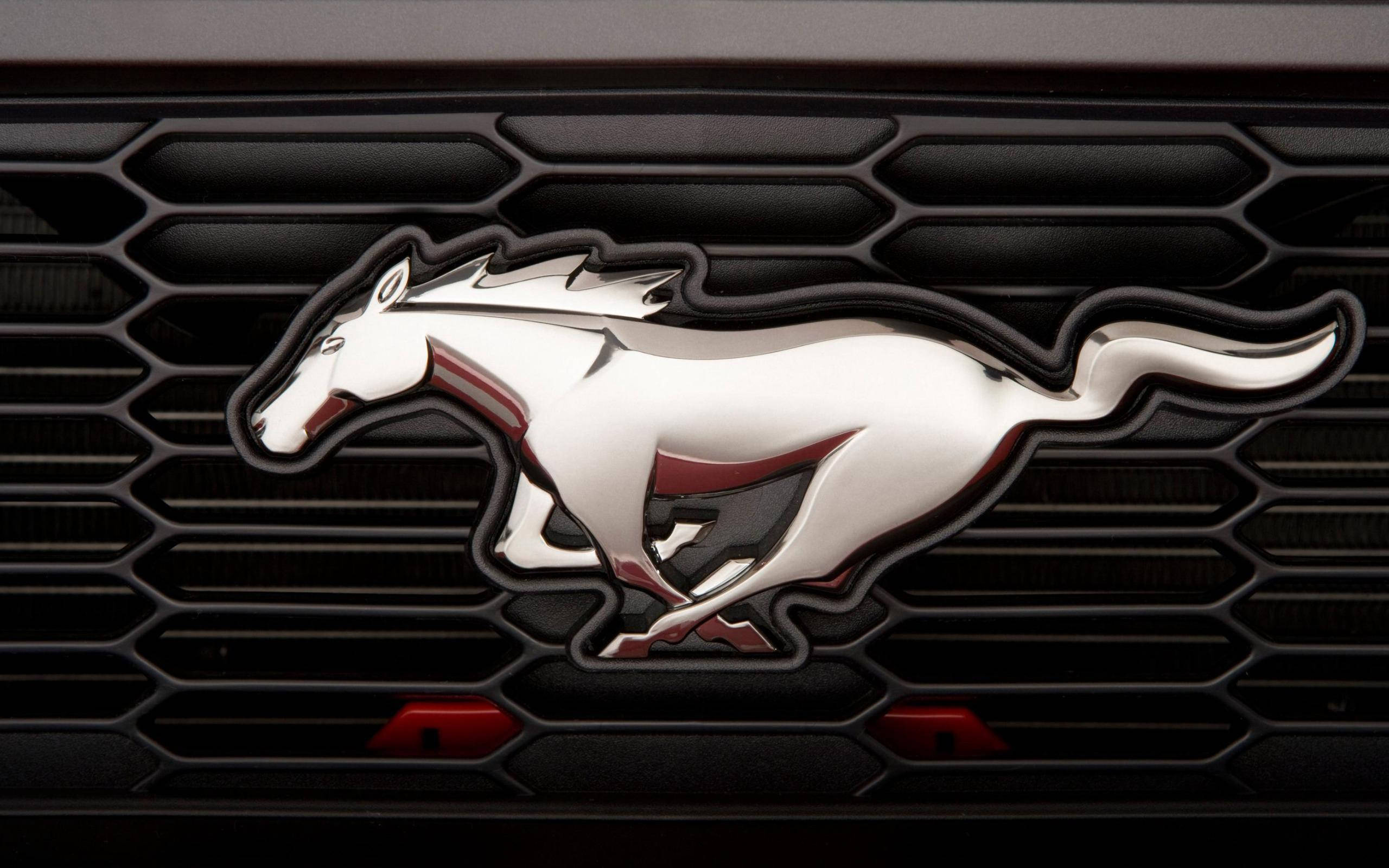 Логотип Ford Mustang HD – Елегантність зустрічає силу. Шпалери