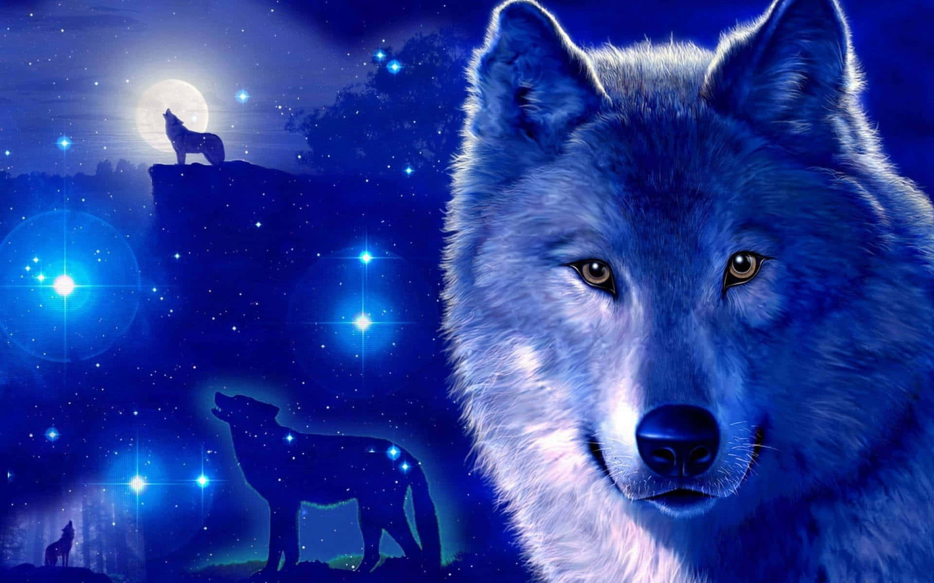 Відкройте для себе красоту зір с Galaxy Wolf Шпалери