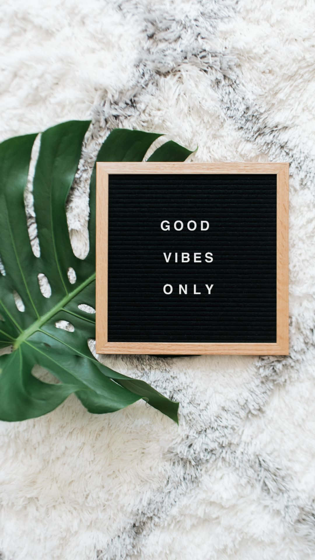 Лист монстери Good Vibes для iPhone Шпалери