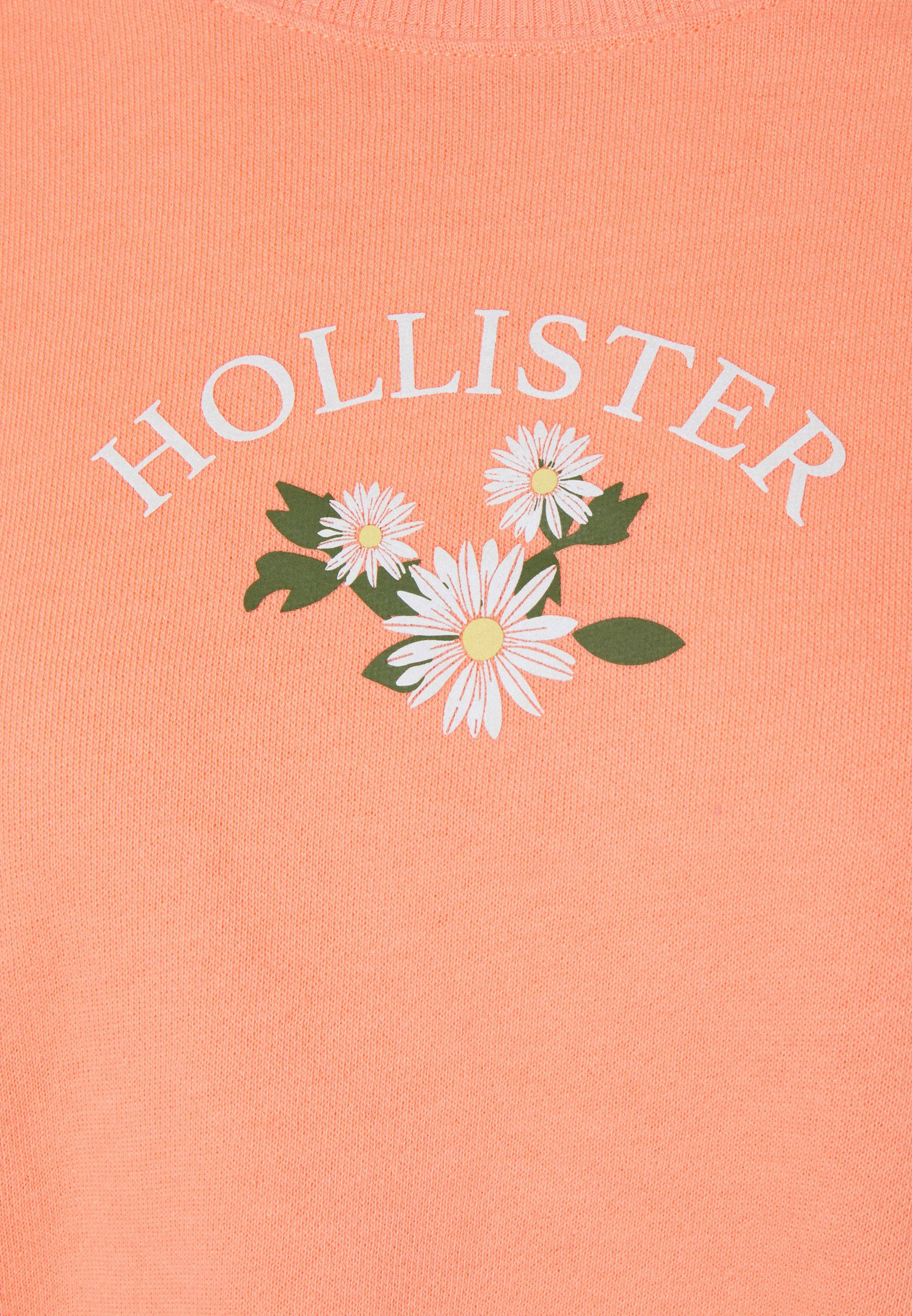 Иллюстрация Hollister с тремя белыми цветами Шпалери