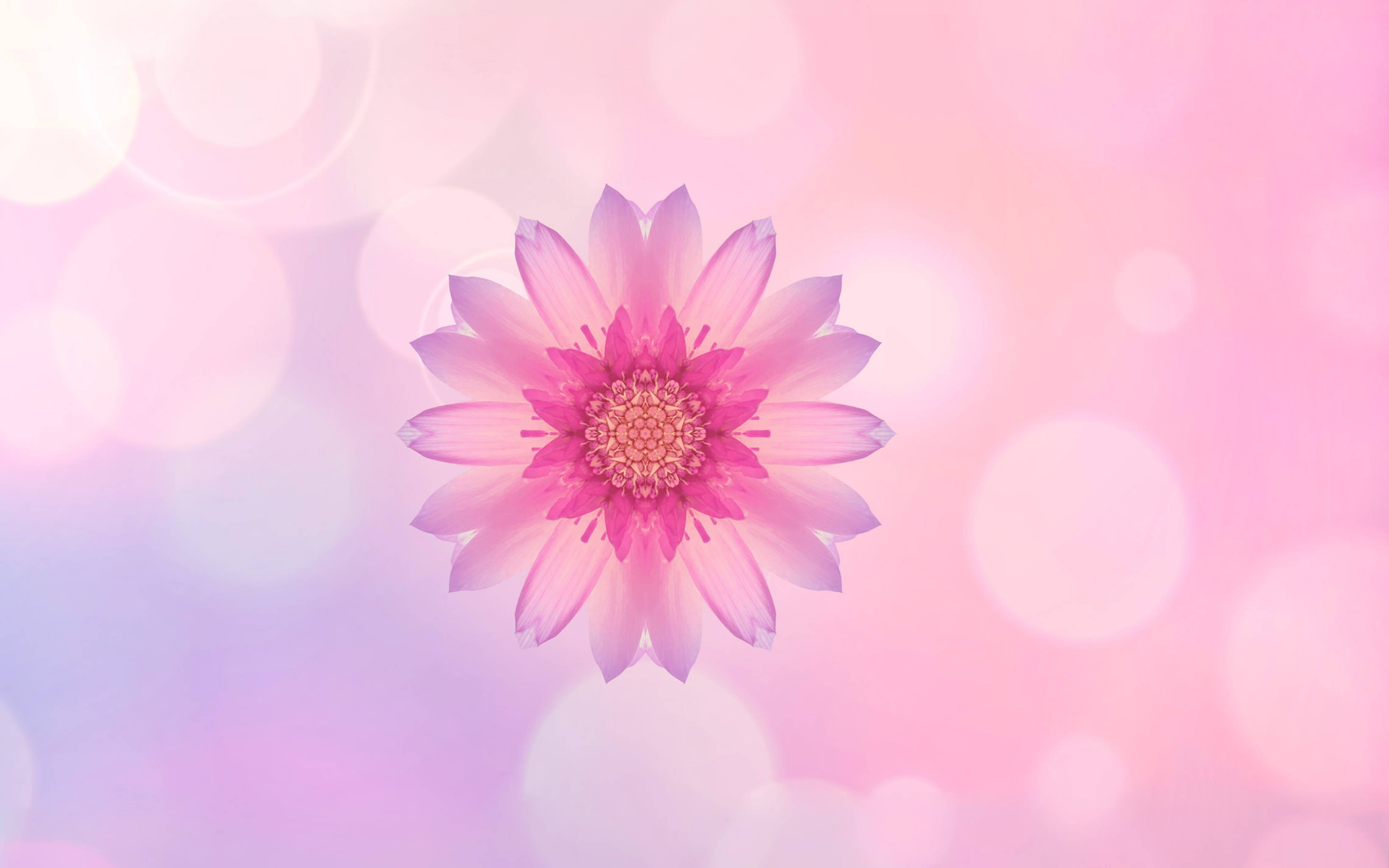 Huawei Pink Flower Шпалери