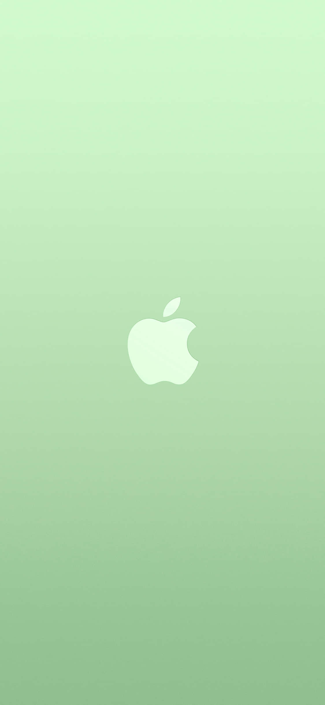 iPhone 11 Логотип Apple на зеленом фоне Шпалери