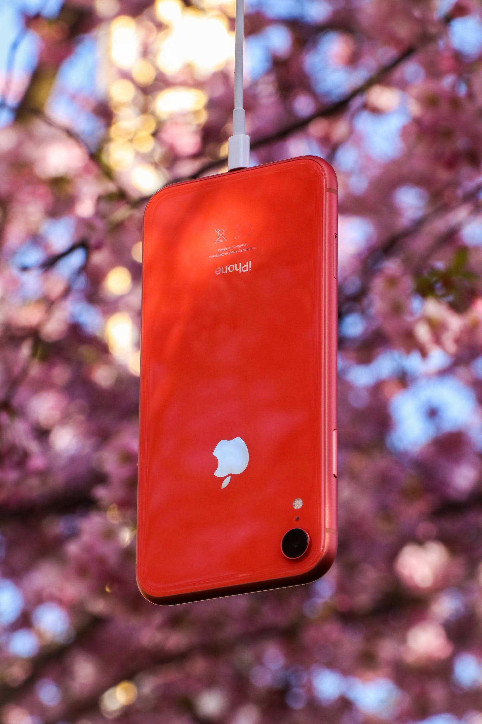 Природа iPhone червоний Шпалери