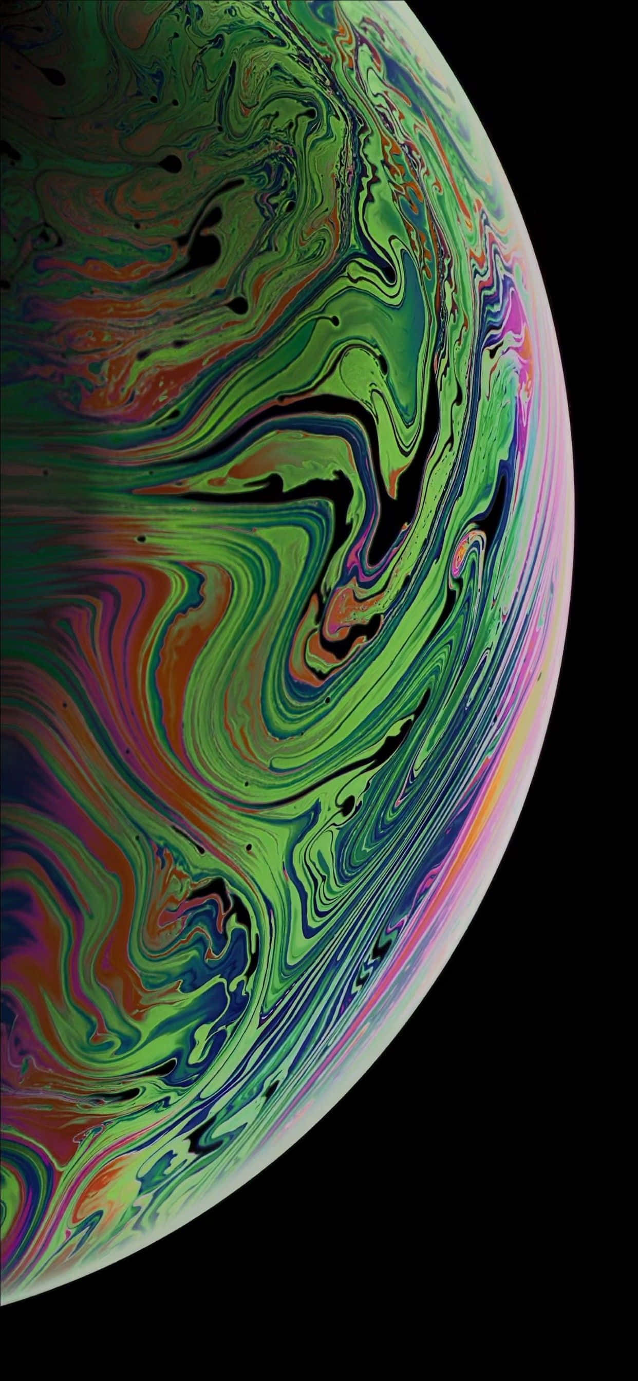Милий Коала шпалери для iPhone Шпалери