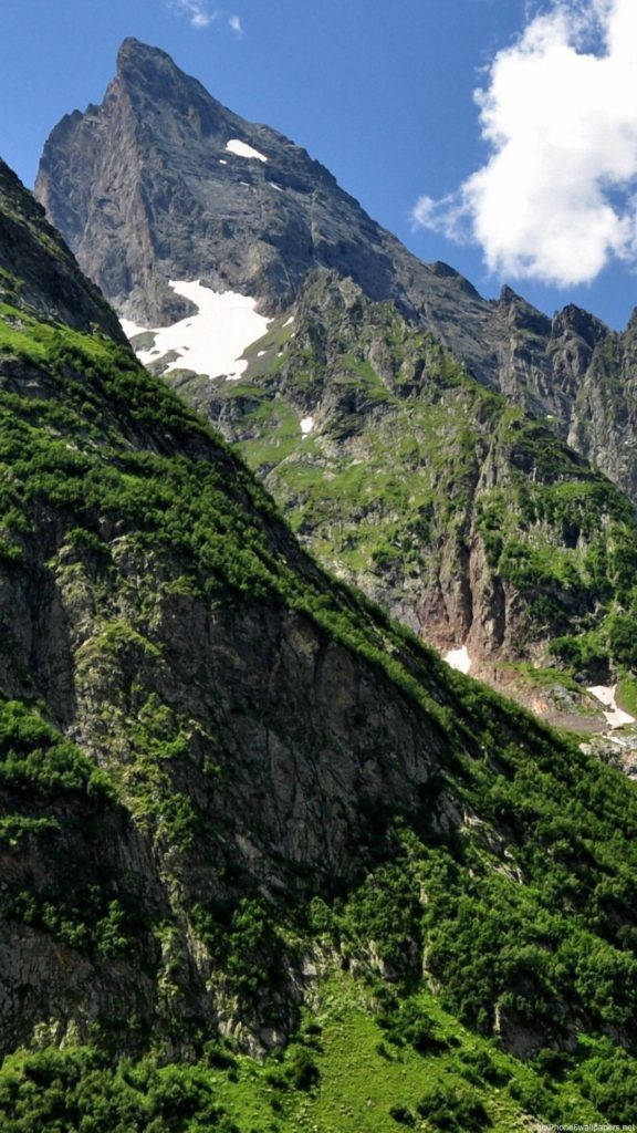 Гірський ліс природа iPhone Шпалери
