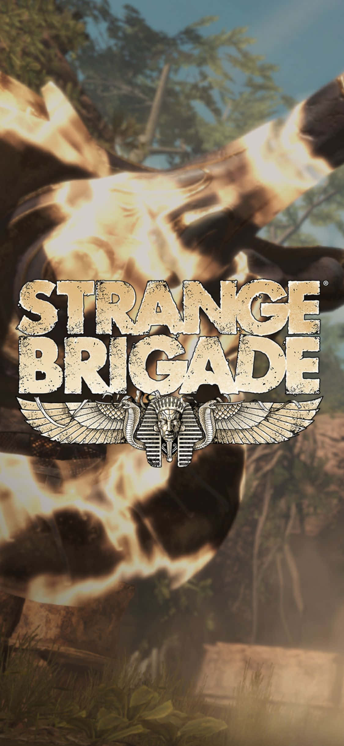 Пляшка с вогнепальною зброєю iPhone X Strange Brigade фон Шпалери