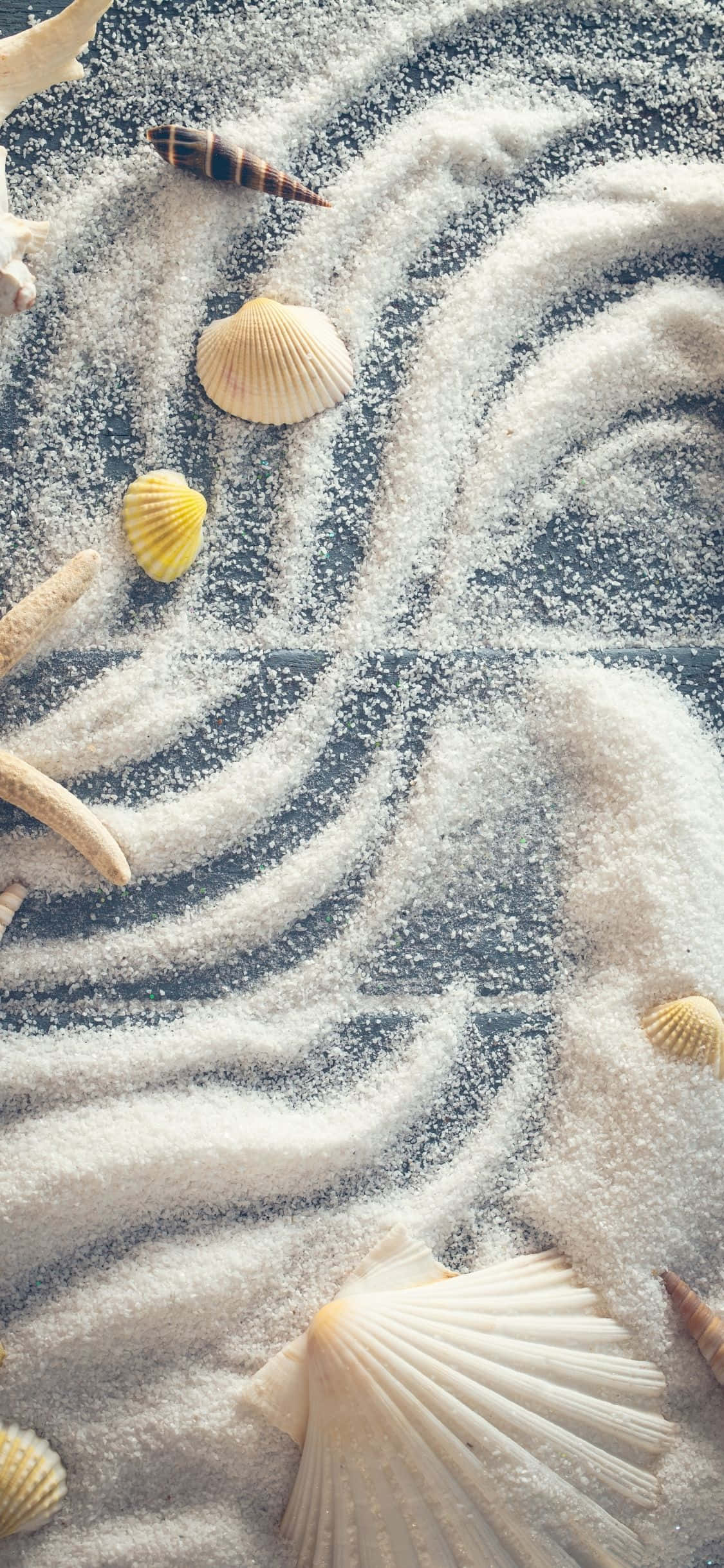 Морские раковины с белым порошком iPhone X Summer Background Шпалери