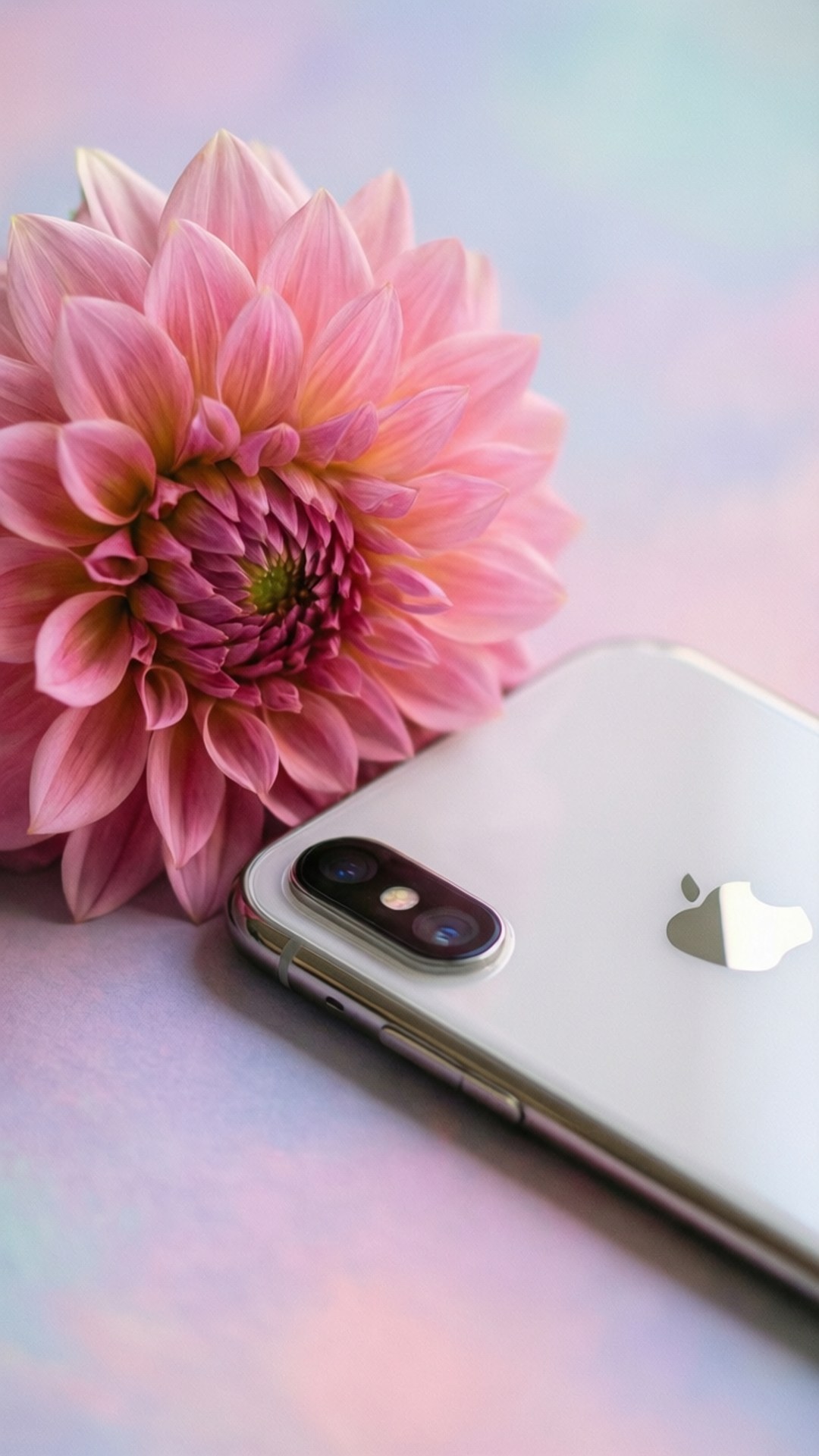 Квіткова елегантність iPhone XR Шпалери