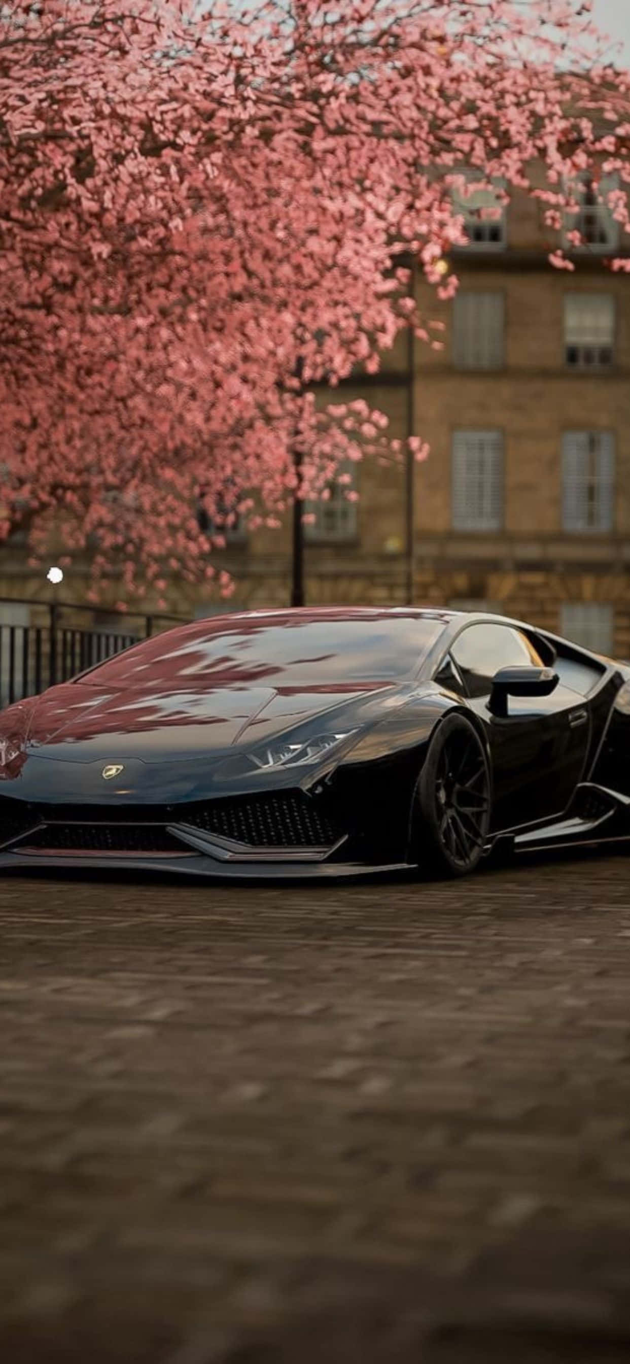 Фон для iPhone XS Max: Lamborghini і вишневый цвет Шпалери