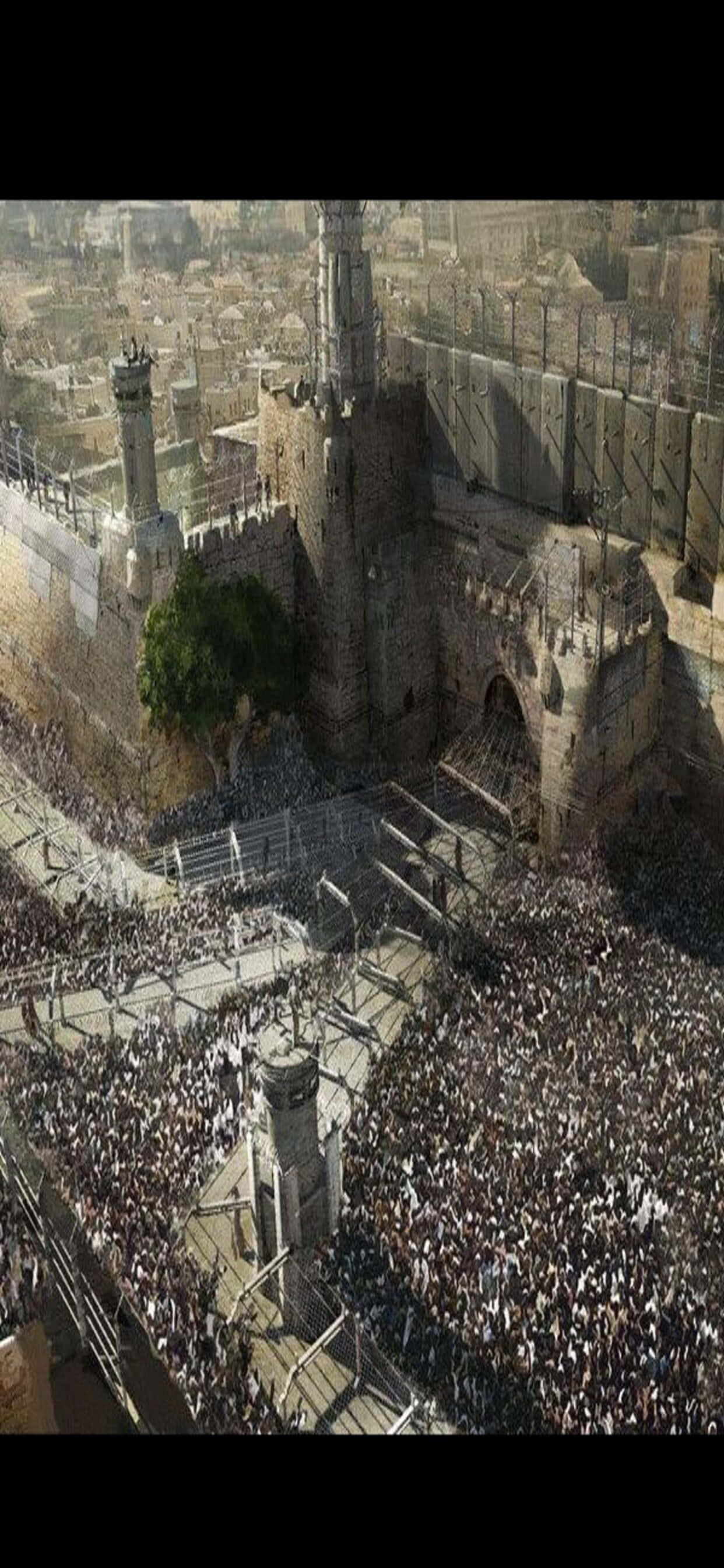 Концепт-арт: фон для iPhone XS Max World War Z Шпалери