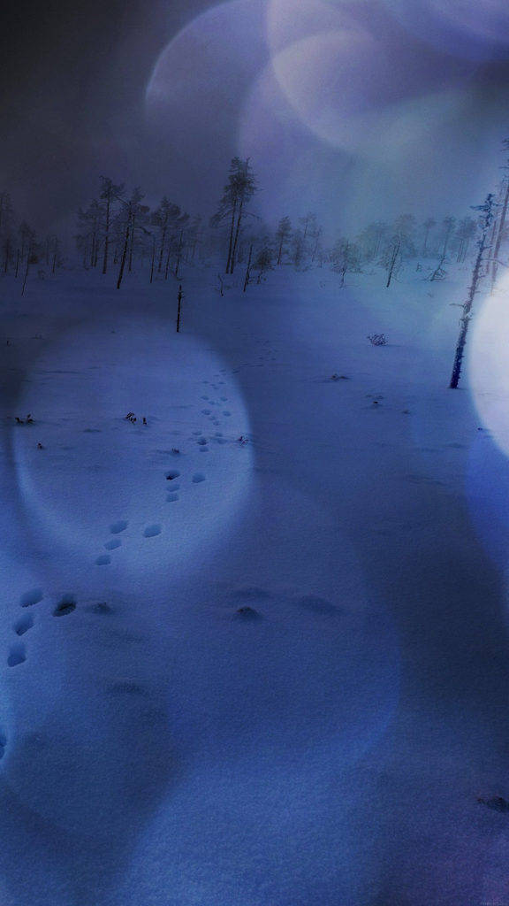 Зимова природа для iPhone Шпалери
