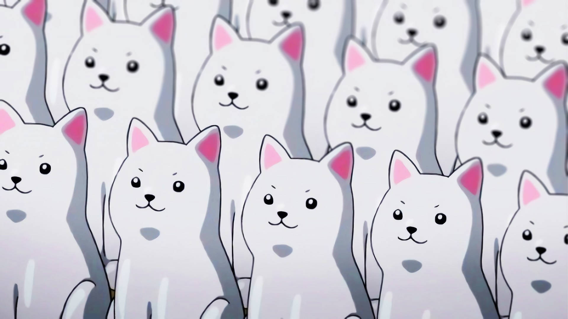 Kawaii HD Білі Собаки Шпалери