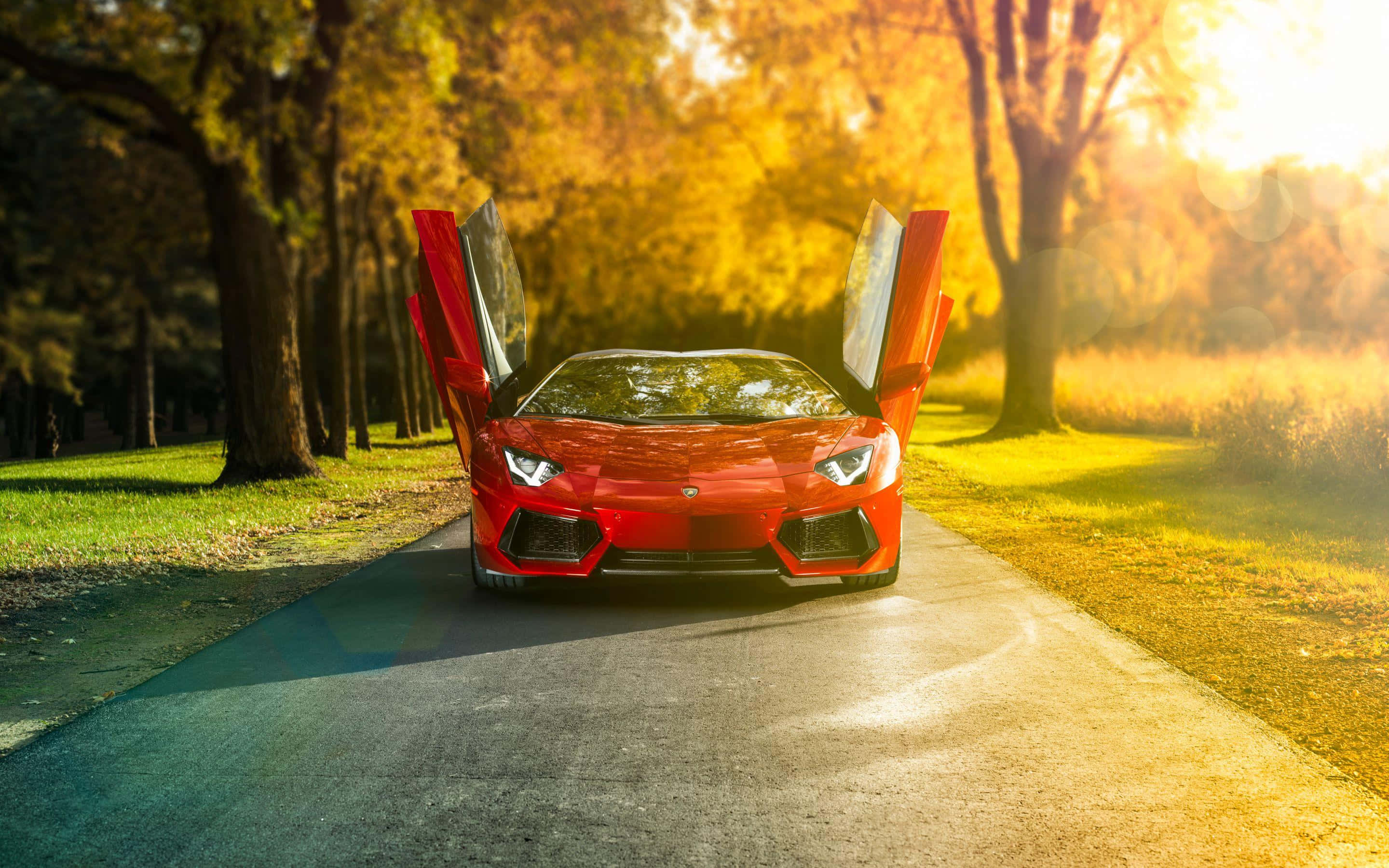 Відкриті двері Lamborghini Aventador Шпалери