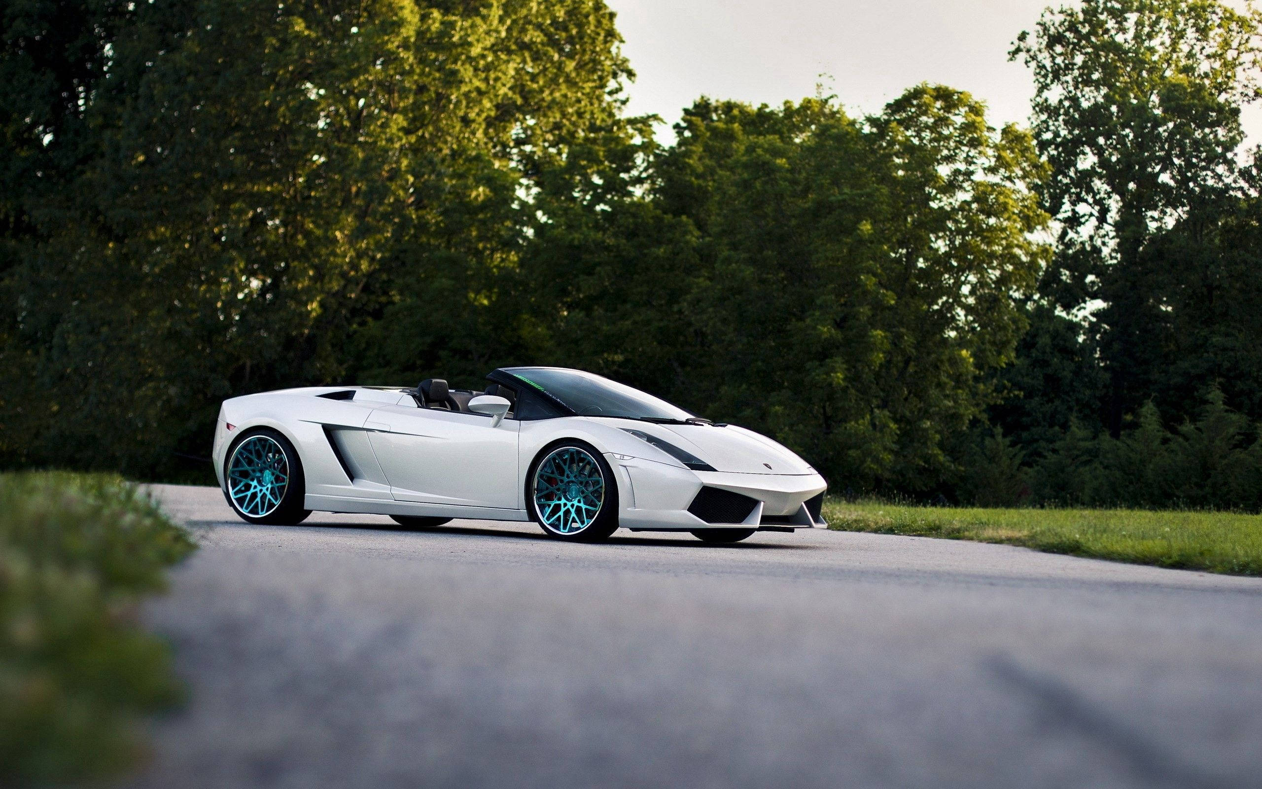 Білий Lamborghini Gallardo Spyder з відкритим верхом Шпалери
