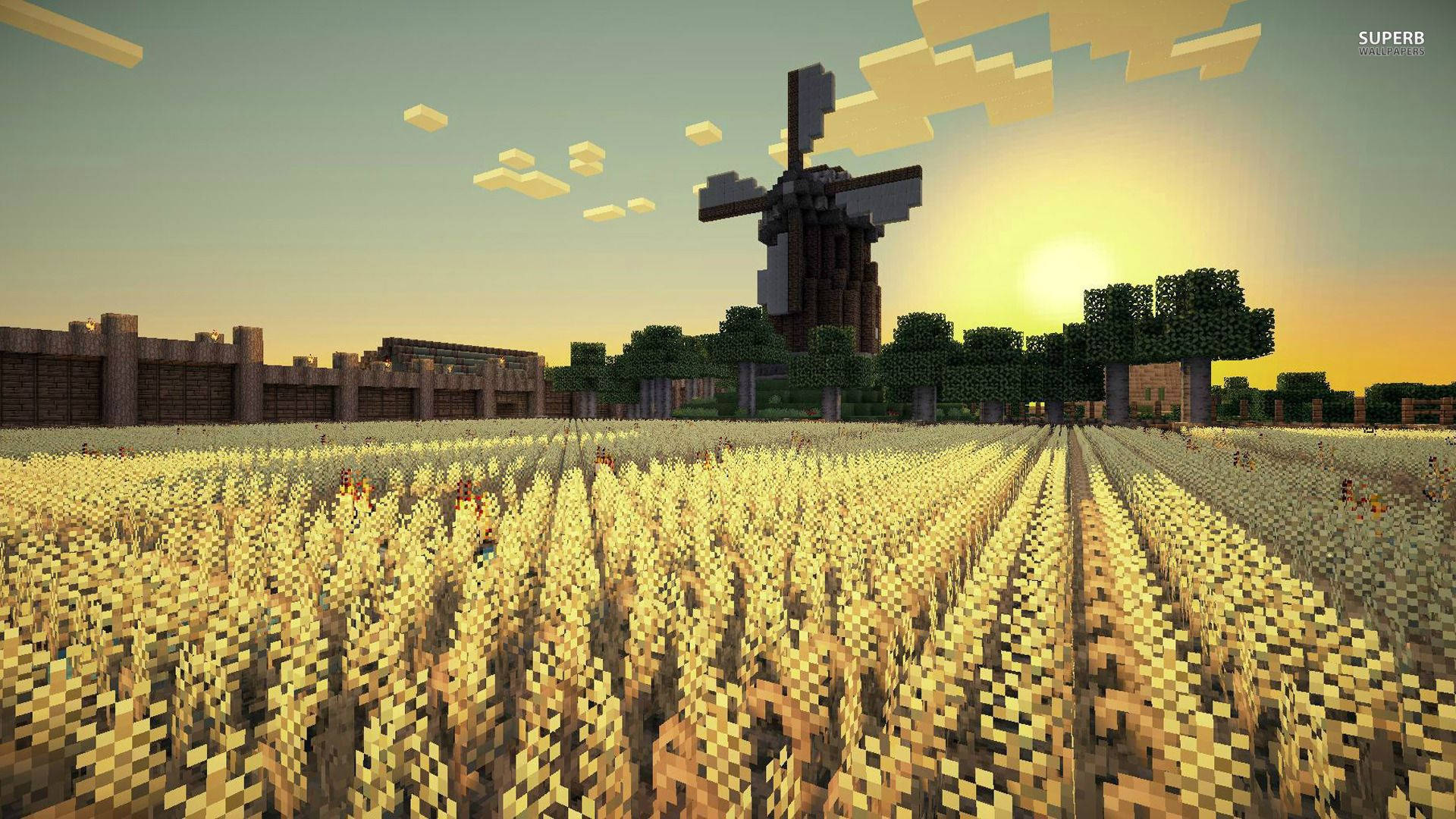 Насолоджуючись спокійним ранком на рисовому полі в Minecraft Шпалери
