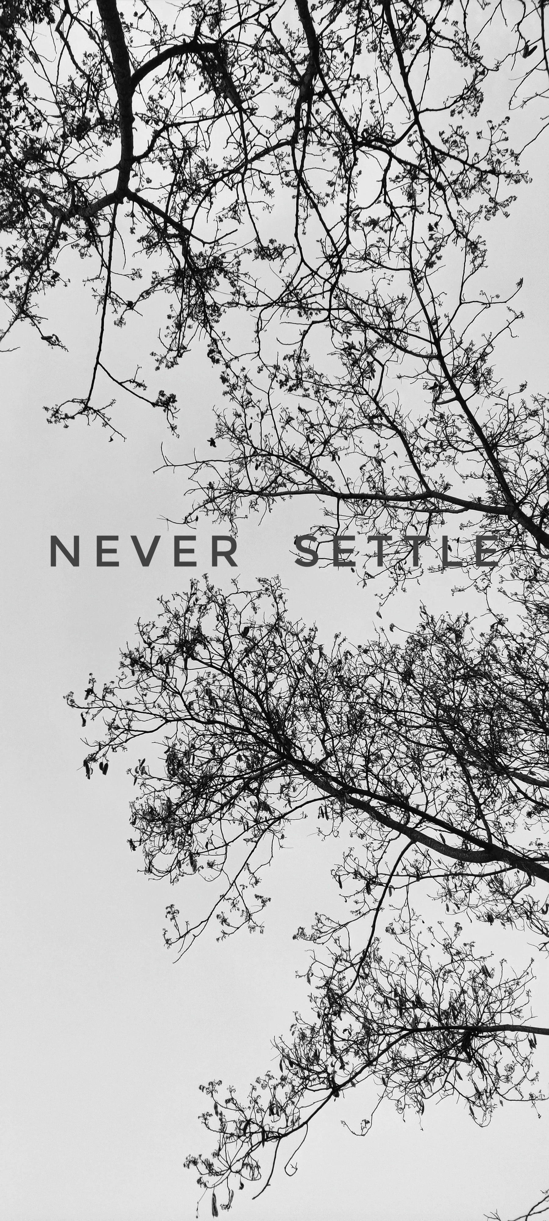 Never Settle Біло-чорное дерево Шпалери