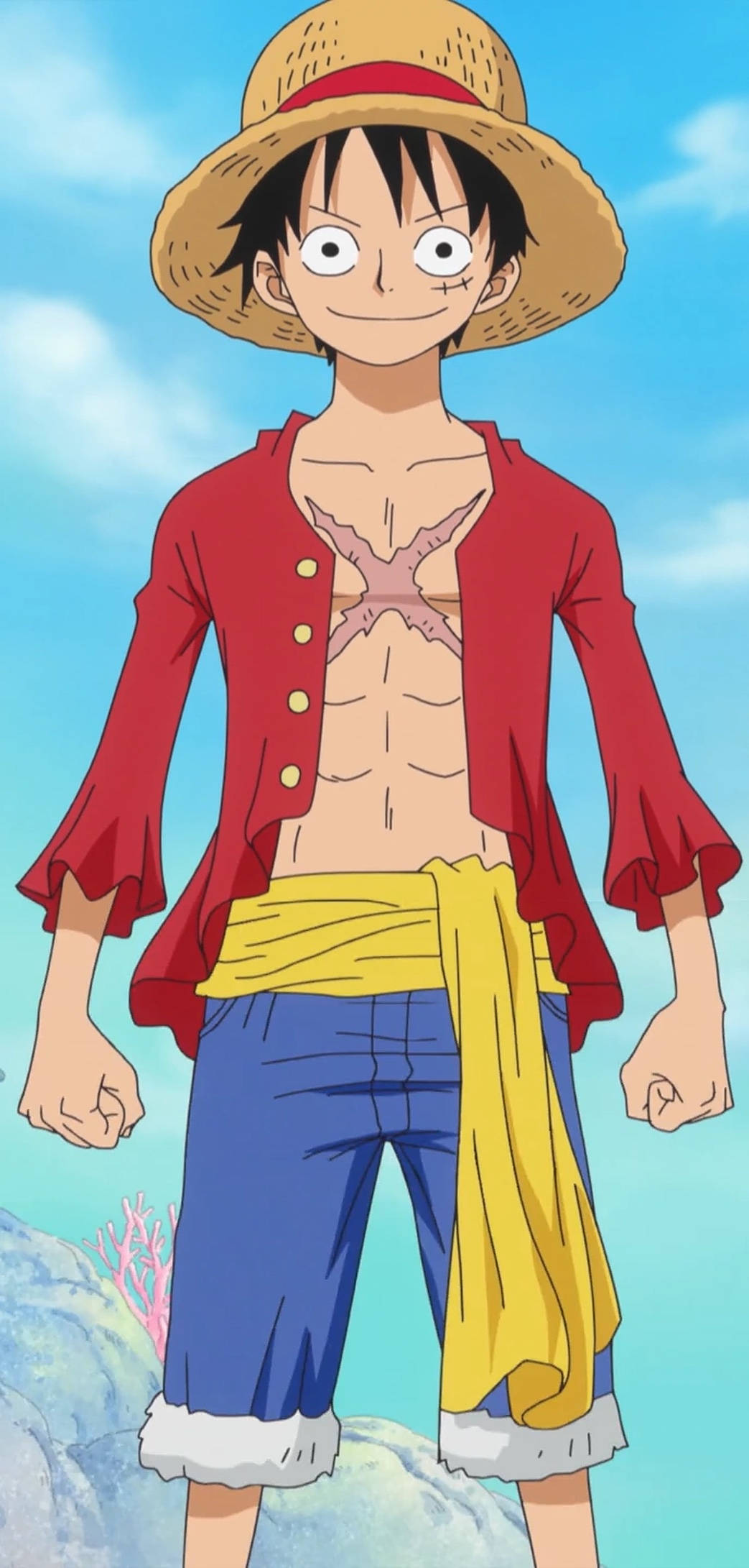 One Piece iPhone портрет Луффи в полный рост Шпалери