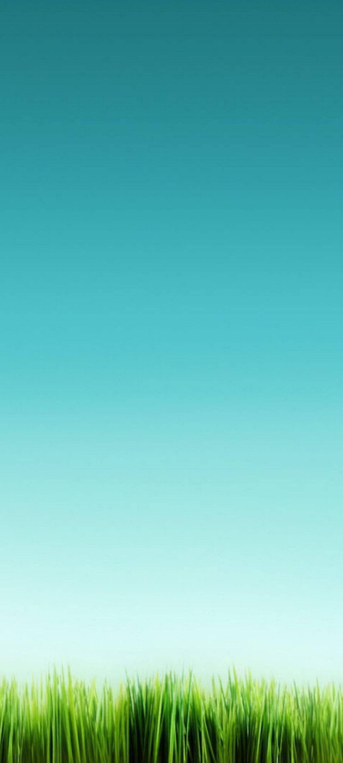 Спокойний горизонт для OnePlus 8 Pro Шпалери