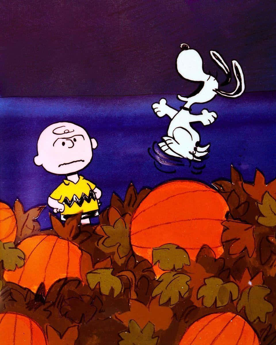 Чарлі Браун і Peanuts в гарбузовому полі Шпалери