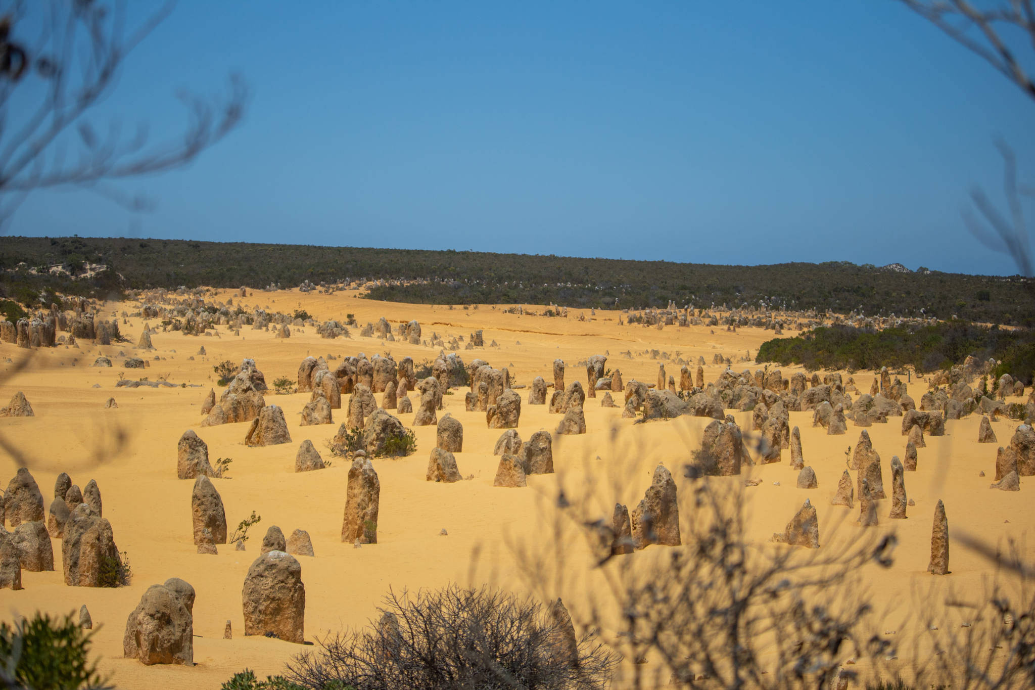 Perth Yanchep National Park Шпалери