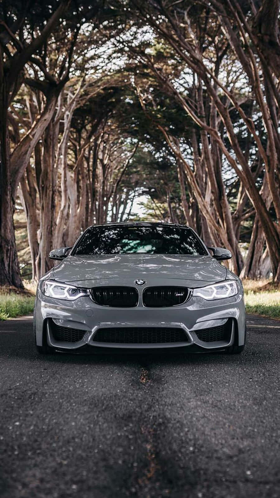 Шпалери Pixel 3 BMW M4 у кольорі Silverstone Metallic II Шпалери