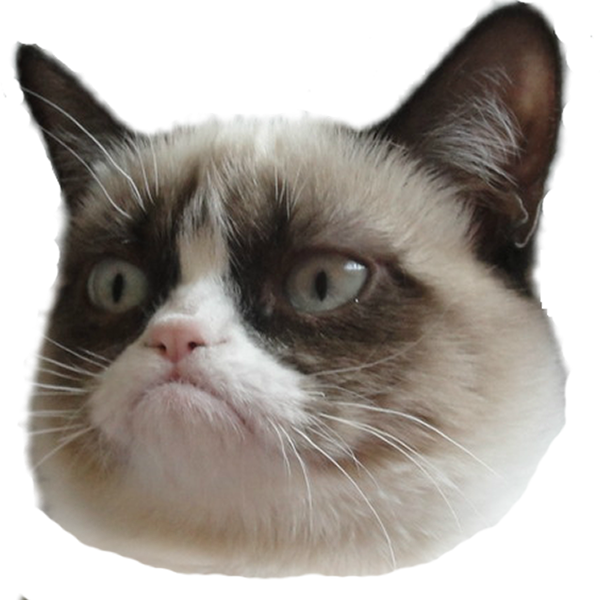Сердитий Кот Голова Прозрачный Фон.PNG Шпалери