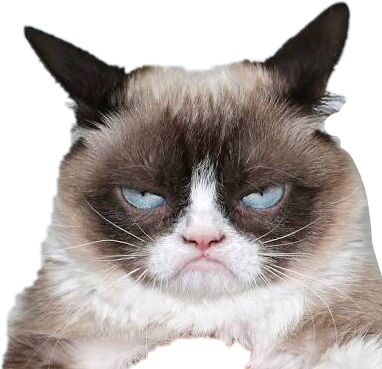 Сердитий кот.PNG Шпалери