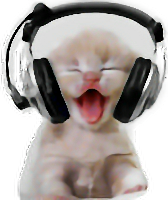 Кот сміється в наушниках.PNG Шпалери
