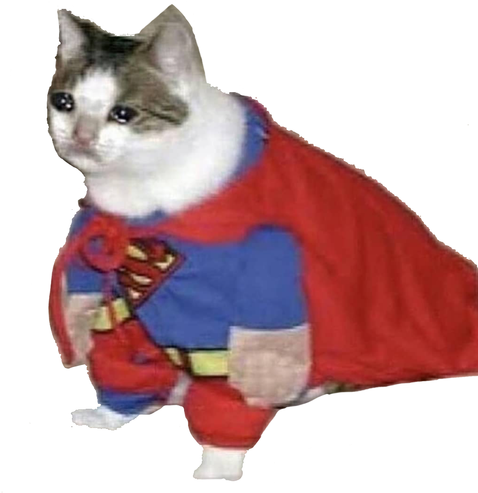 Супер Кот_ Герой_ Мем.PNG Шпалери
