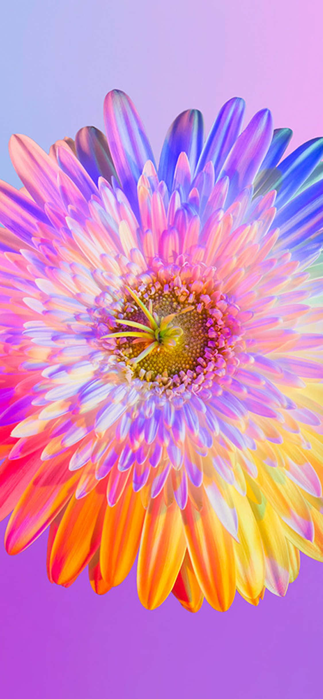 Сделайте свой день ярче с этими красивыми обоями Rainbow Flower для iPhone! Шпалери